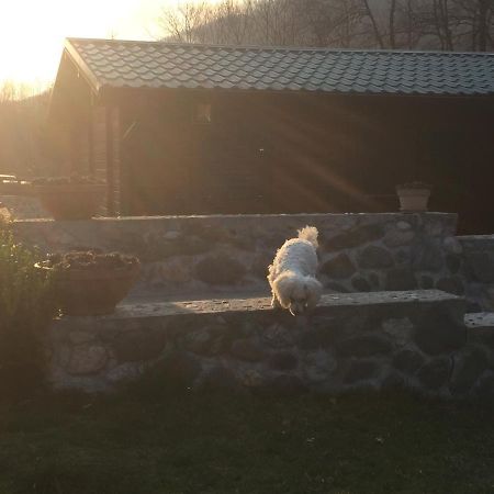 Cottage Ravna Rijeka Bijelo Polje Dış mekan fotoğraf