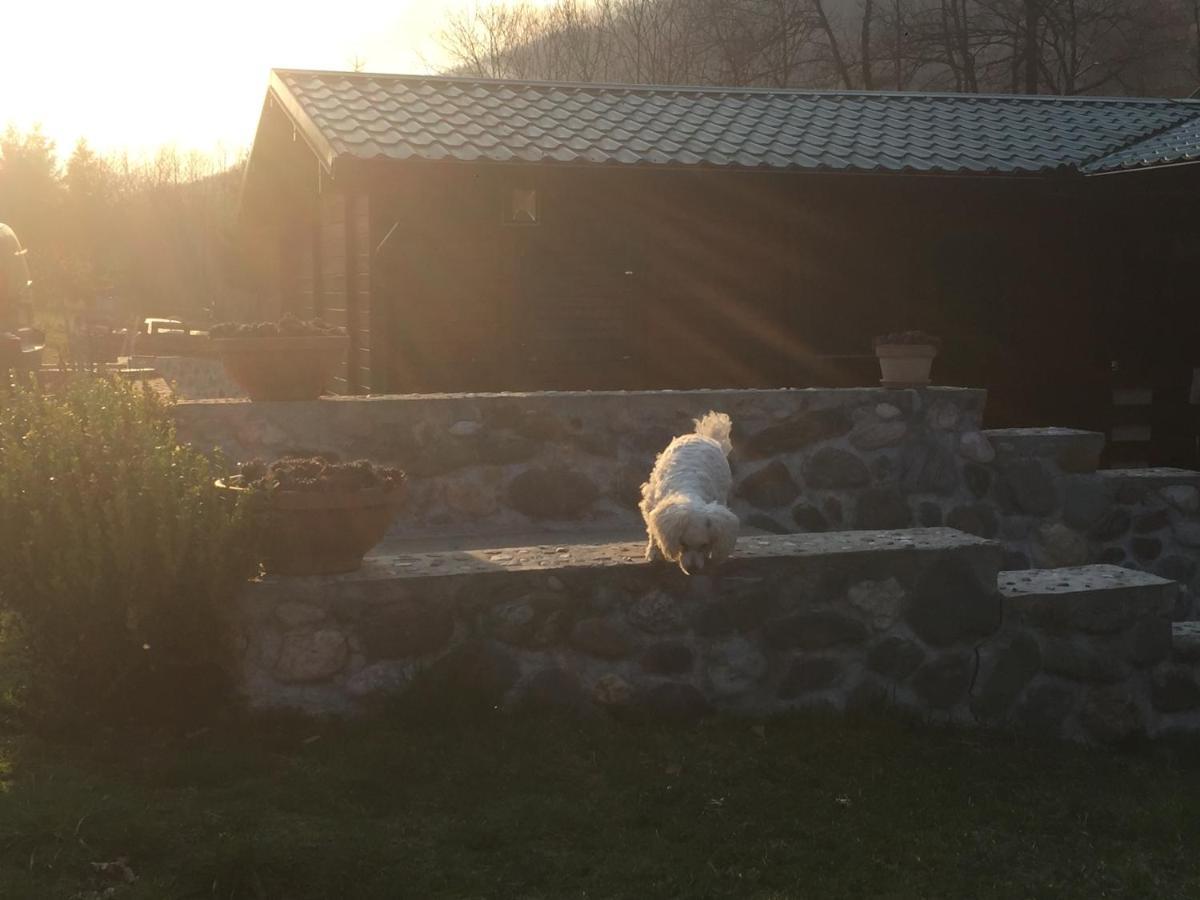 Cottage Ravna Rijeka Bijelo Polje Dış mekan fotoğraf